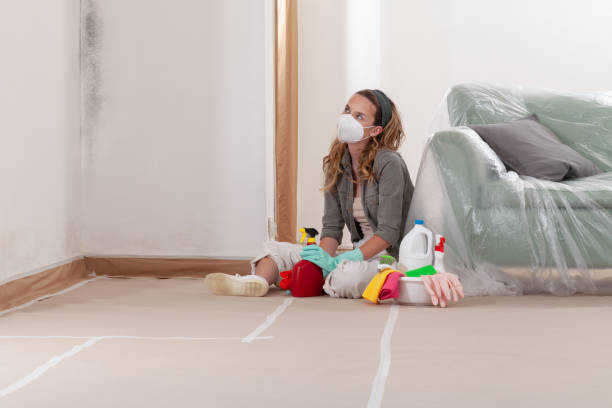 Reliable Mold Remediation contractor in Sammamish, WA by 24 Hour Mold Removal